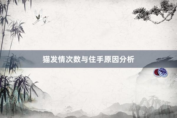 猫发情次数与住手原因分析